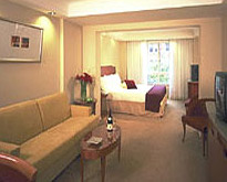 PARK PLAZA VICTORIA LONDON