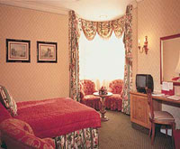 THE KINGSLEY THISTLE BLOOMSBURY